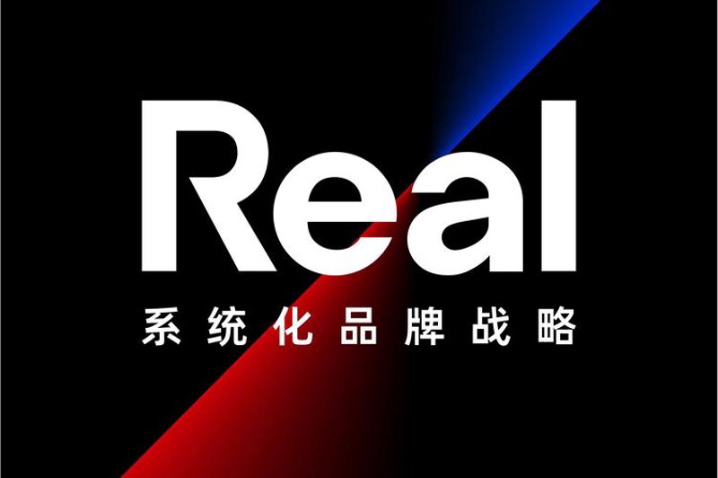 石家庄咨询公司的最新动态与发展趋势